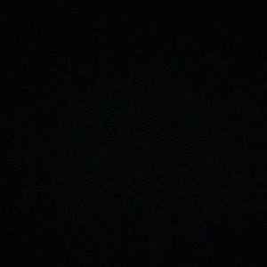 Meet your Posher, Max